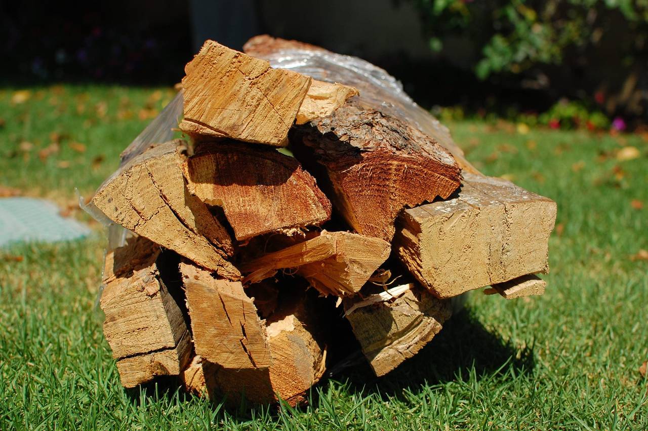 Bundle of Firewood (approximately 10 pieces of wood)